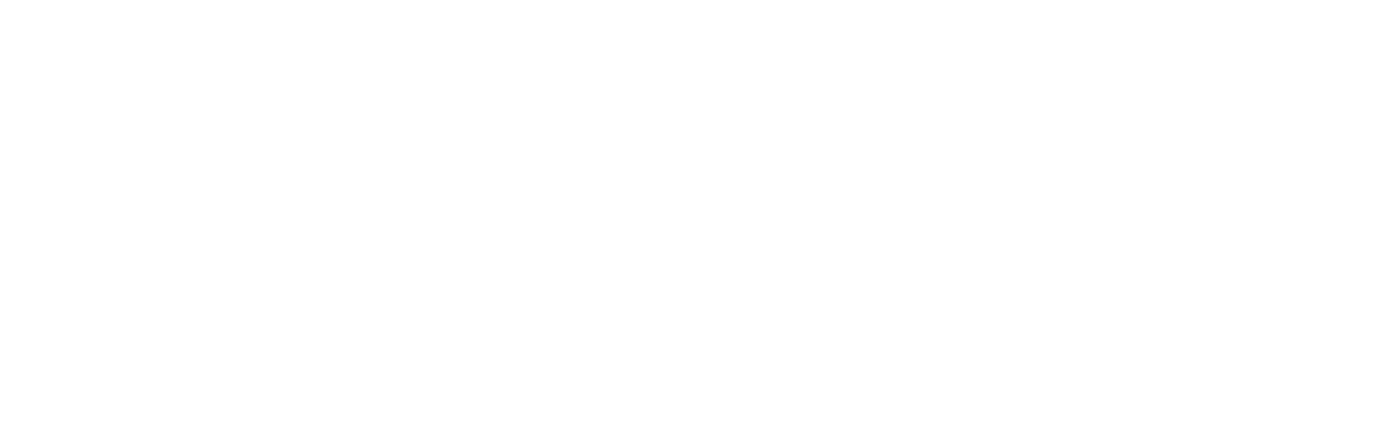 bonifico.png