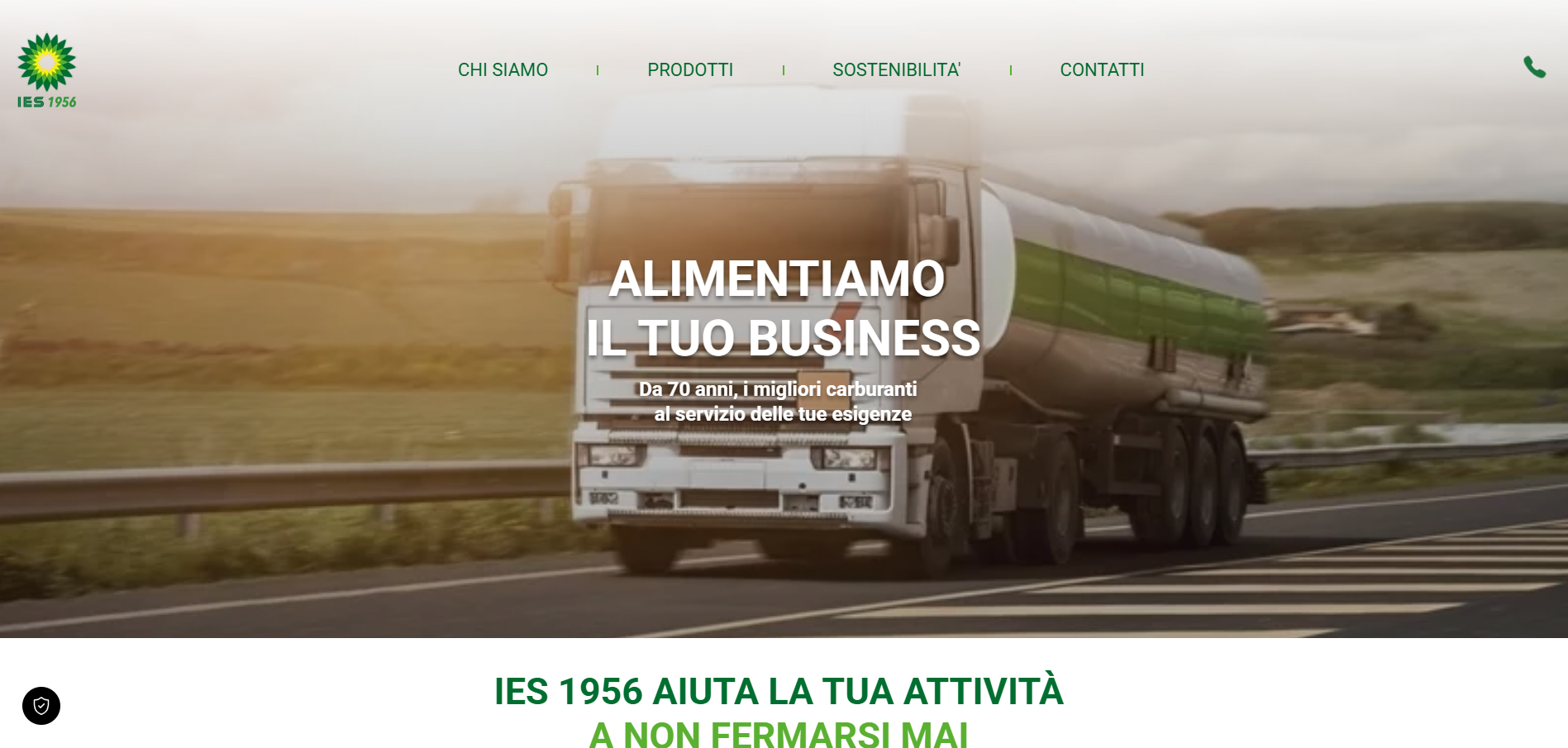 Websites and E-Commerce Design for Website Builder and WordPress - IES 1956